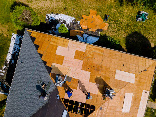 Best Metal Roofing Contractor  in Elida, OH