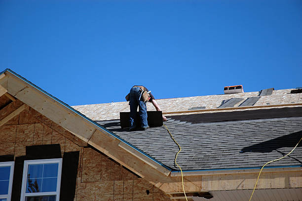 Best Storm Damage Roof Repair  in Elida, OH