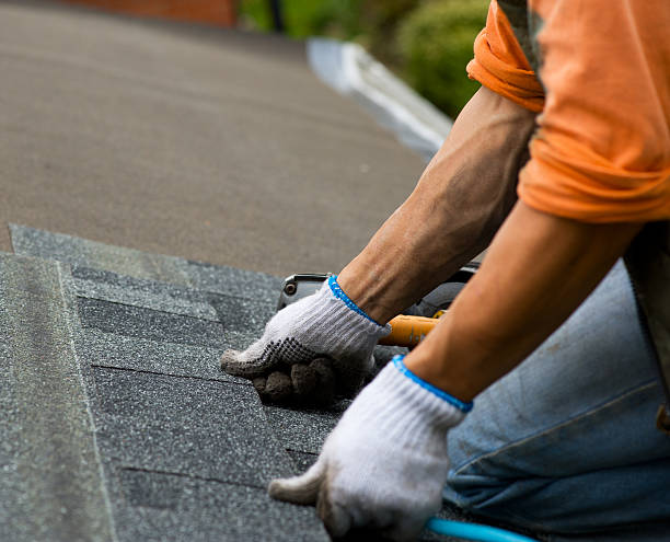 Best Gutter Installation and Roofing  in Elida, OH